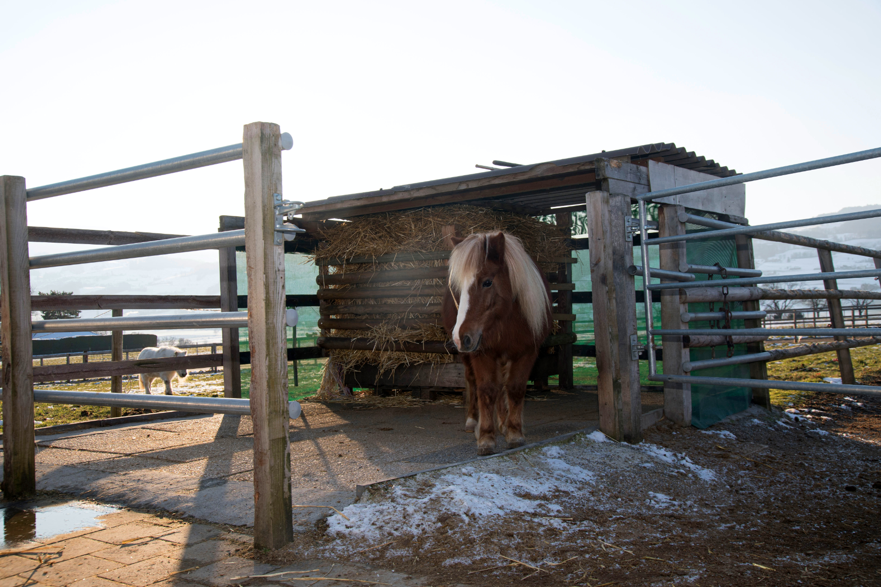 Aktivstall Bieri Futterbereiche