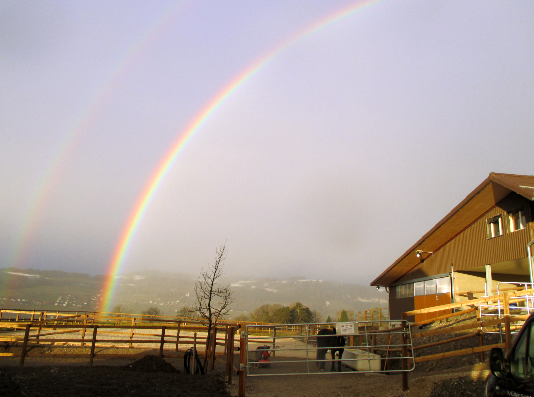 Aktivstall Bieri Philosophie