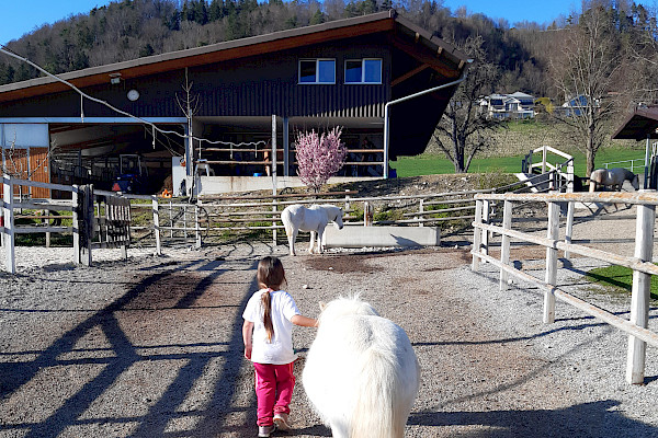 Blanca und Emilia Aktivstall Bieri